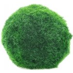 Cladophora Aegagropila spec. Linnaei – Zboží Dáma