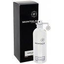 Parfém Montale Sandal Sliver parfémovaná voda unisex 100 ml