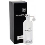 Montale Sandal Sliver parfémovaná voda unisex 100 ml – Hledejceny.cz