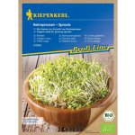 KIEPENKERL Červený jetel (Trifolium pratense) klíčky – Zboží Dáma