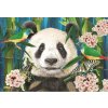 Puzzle ANATOLIAN Panda v ráji 260 dílků
