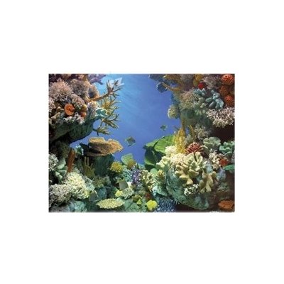 Tetra DecoArt pozadí žralok / korál 60 x 45 cm – Zboží Mobilmania