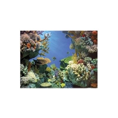 Tetra DecoArt pozadí žralok / korál 60 x 45 cm – Zboží Dáma