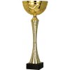 Pohár a trofej Kovový pohár Zlatý 26,5 cm 9 cm