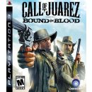 Call of Juarez: Bound in Blood