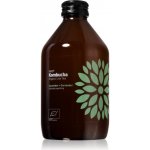 Natu Kombucha bio probiotický nápoj Cucumber & Coriander 315 ml – Zboží Dáma Natu Kombucha bio probiotický nápoj Cucumber & Coriander 315 ml – Zboží Dáma