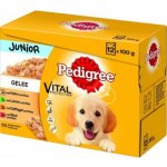 Pedigree Junior kuřecí 12 x 100 g – Sleviste.cz