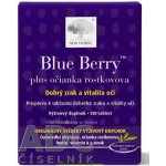 New Nordic Blue Berry 120 tablet – Hledejceny.cz