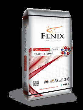 Agro CS FENIX Balanced Spring 22-05-11+2MgO 20 kg