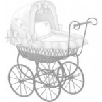 Kočárek – Sleviste.cz