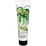 Hands on Veggies Bio šampon pro mastné vlasy Brokolice & Šalvěj 150 ml – Sleviste.cz