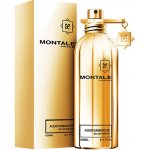 Montale Aoud Damascus parfémovaná voda dámská 100 ml – Hledejceny.cz