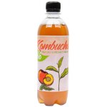 Stevikom Kombucha Bílý čaj Bio Broskve 0,5 l – Zboží Dáma