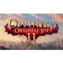 Divinity: Original Sin 2