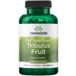 Swanson Full-Spectrum Tribulus Fruit 90 kapslí 500 mg – Hledejceny.cz