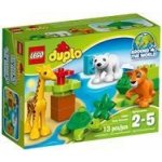 LEGO® DUPLO® 10801 Mláďátka – Zbozi.Blesk.cz