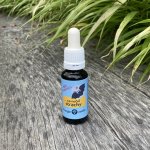 Bachovy esence Na noční strachy 20 ml – Hledejceny.cz