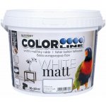 KITTFORT COLORLINE Barva na stěnu, bílá, matná, 4 kg – Hledejceny.cz