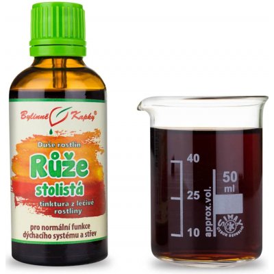Bylinné kapky Růže stolistá kapky Duše rostlin tinktura 50 ml – Hledejceny.cz