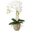 Květina Umelá kvetina Orchidej bílá v květníku, 55cm