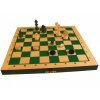 Šachy Šachy turistické + backgammon