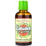 Dr. Popov Bylinné kapky Žaludek & trávení 50 ml – Hledejceny.cz