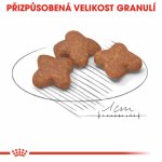 Royal Canin Mini Adult 8+ drůbeží 0,8 kg – Hledejceny.cz