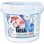 Orling Gelapony Chondro HYAL 1,8 kg – Zboží Dáma