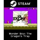 Wonder Boy: The Dragons Trap