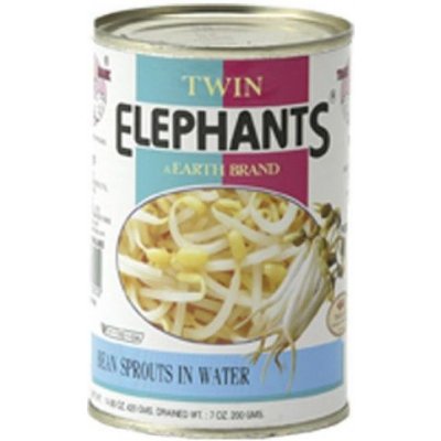 TWIN ELEPHANT EARTH Fazolové výhonky ve vodě 420 g – Zboží Dáma