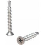 Šroub samovrtný TEX, zápustná hlava, PH, DIN 7504P, nerez A2 3,9 x 38 - hobby balení, balení 1 ks – Hledejceny.cz
