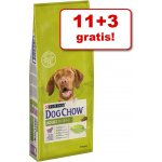 Purina Dog Chow Adult Chicken 14 kg – Zboží Mobilmania