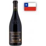 Tarapacá Gran Reserva Etiqueta Negra Cabernet Sauvignon 2007 0,75 l (holá láhev) – Hledejceny.cz