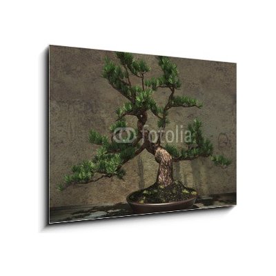 Obraz 1D - 100 x 70 cm - Decorative Bonsai Tree Dekorativní strom bonsai