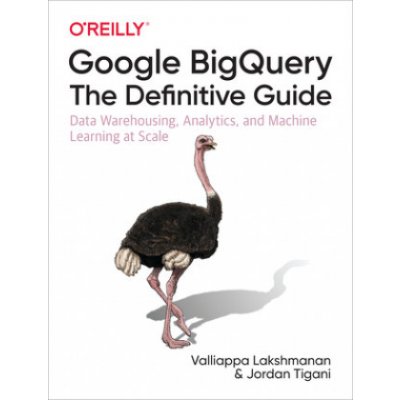 Google BigQuery: The Definitive Guide – Hledejceny.cz