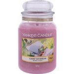 Yankee Candle Classic Sunny Daydream 623 g – Zboží Mobilmania