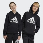 Big Logo Essentials Hoody Jr HR6380 – Hledejceny.cz