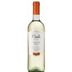 Cielo Chardonnay Veneto Igt 12% 0.75 l (holá láhev) – Hledejceny.cz