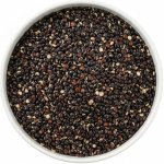 Wolfberry Quinoa černá Bio 0,5 kg – Sleviste.cz