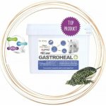 Dromy Gastroheal KONCENTRÁT 3 kg – Zboží Dáma