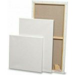 Corte profi Malířské plátno bavlněné 100 x 100 cm – Sleviste.cz