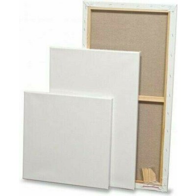 Corte profi Malířské plátno bavlněné 100 x 100 cm – Sleviste.cz