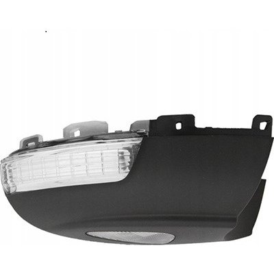 Blinkr pravého zrcátka VOLKSWAGEN TIGUAN (5N) |007-2011| 8033208055208 | Zboží Auto