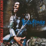 Busta Rhymes - When Disaster Strikes Silver LP – Hledejceny.cz