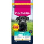 Eukanuba Active Adult Large Breeds Chicken 18 kg – Hledejceny.cz