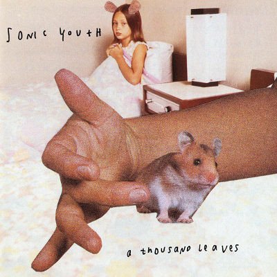 Sonic Youth - A Thousand Leaves CD