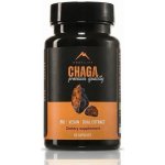 Hrotlife Chaga Premium podpora správného fungování organismu 60 kapslí – Hledejceny.cz