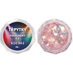 Expa-nails expanails třpytky na zdobení nehtů hologramy č.2 pink light 2 g – Hledejceny.cz