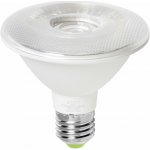 FanEurope Fan KLASSIC-PAR30M LED žárovka PAR30 E27 10 W 750 lm 4000 K – Hledejceny.cz