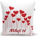 Sablio Polštář Miluji tě 2 40x40 – Sleviste.cz